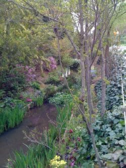 Monet inspired Garden