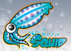 Squid cache logo