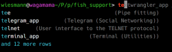 Screenshot of a terminal running the fish shell with tab completion of applications starting with 'te'