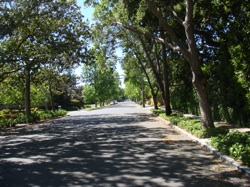 Bike boulevard entre Mountain View et Palo Alto