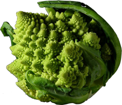 Fractal Romanesco Broccoli