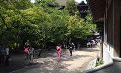 Les Princesses de Kiyomizu-dera