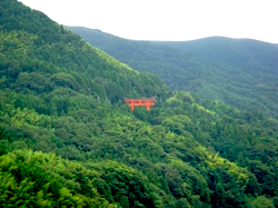 Red Tori near Tsuwano