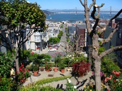 San Francisco, Nice Gardens